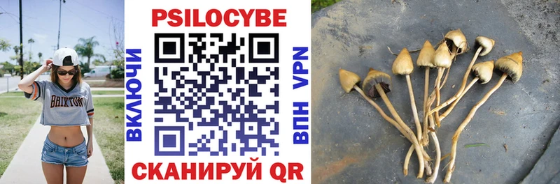 Галлюциногенные грибы Cubensis  купить наркоту  Навашино 